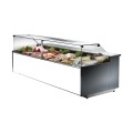 COMPTOIR VITRINE REFRIGERE VENTILE (1150 MM), VITRES DROITES, L 1040 MM FM1010VD TECNODOM