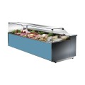 COMPTOIR VITRINE REFRIGERE VENTILE (1150 MM), VITRES DROITES, L 1040 MM FM1010VD TECNODOM