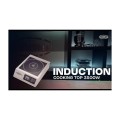 PLAQUE INDUCTION 3500W