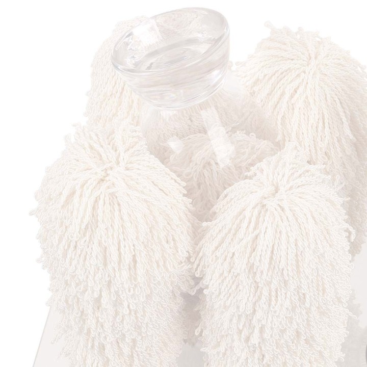 SECHEUSE ET POLISSEUSE A VERRE DSV2000 FRUCOSOL