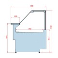 COMPTOIR VITRINE REFRIGERE VENTLE (1000 MM), VITRES DROITES, L 2000 MM FM0920VD TECNODOM