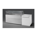 COMPTOIR VITRINE REFRIGERE VENTLE (940 MM), VITRES DROITES, L 2227 MM KPK0822VD1M TECNODOM