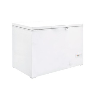 BAHUT SURGELATEUR 275 L