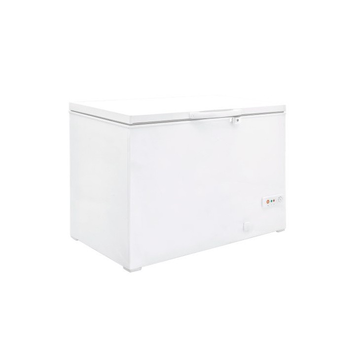 BAHUT SURGELATEUR 275 L