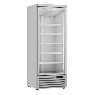 FRIGO MURAL AVEC PORTE VITREE BATTANTE, 600 L