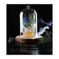 Cloche en verre avec aération