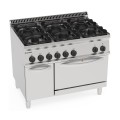 6 FEUX GAZ SUR FOUR GAZ GN 2/1 ET ARMOIRE FERMEE EG6SFA70 TECNOINOX