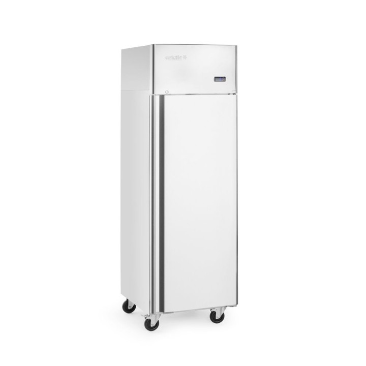 Congélateur simple porte 410L