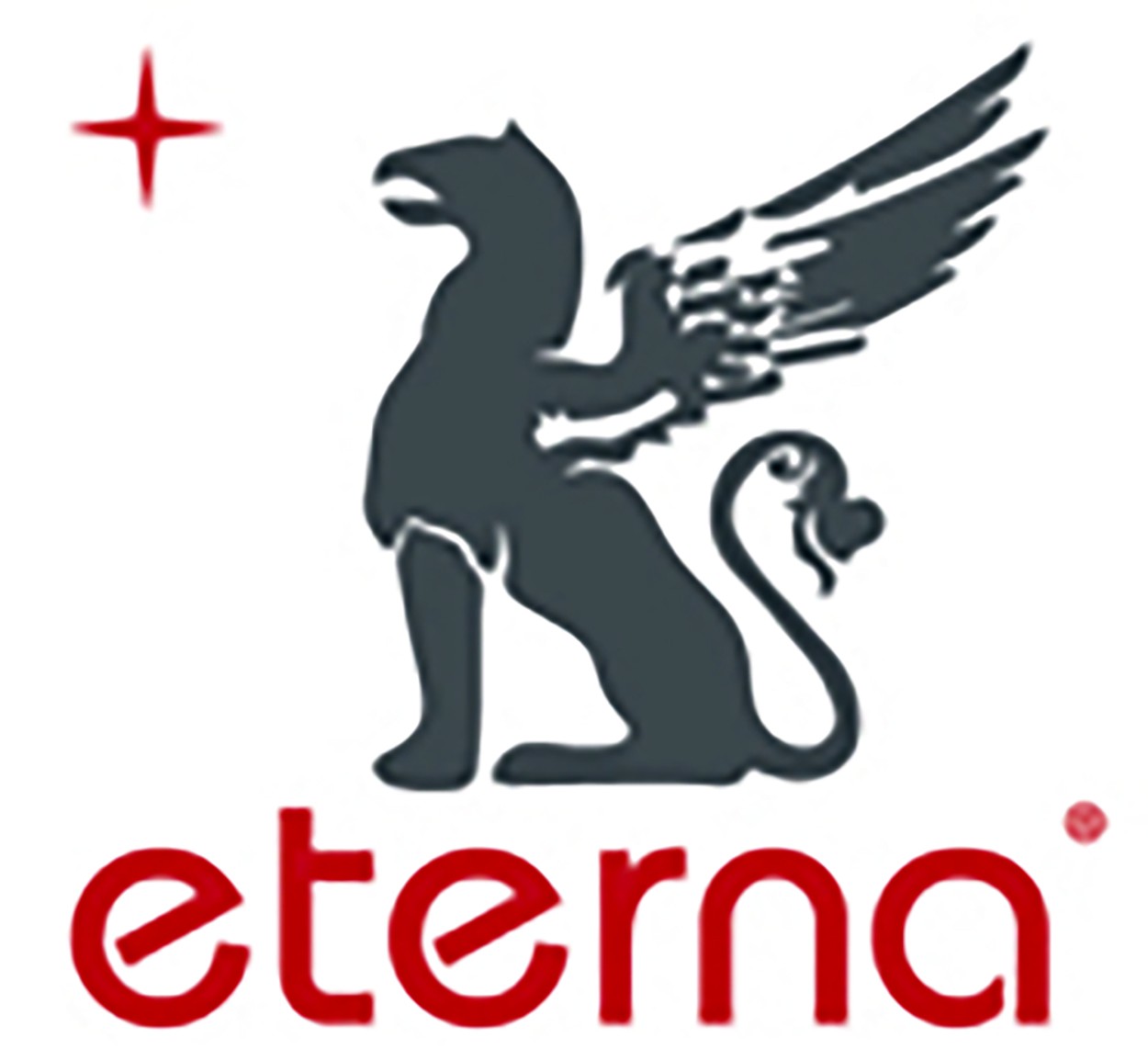 Logo officiel ETERNA